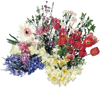 003488efe196 (200x174, 59 Kb)