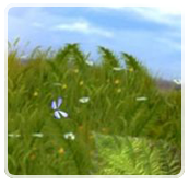  (173x169, 48Kb)