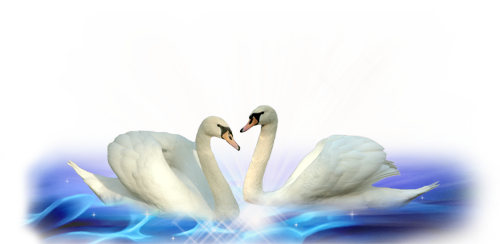 (500x244, 130Kb)