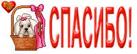  (200x80, 36Kb)