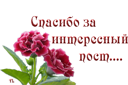 (450x300, 192Kb)