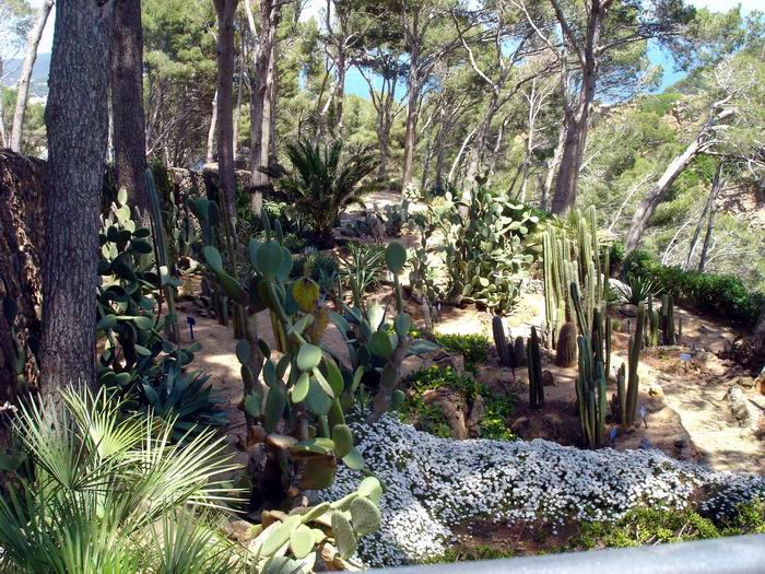 Прогулка берегом моря в сад Cap Roig (700x525, 132Kb)