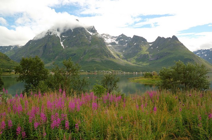 ЛОФОТЕНСКИЕ ОСТРОВА (Lofoten) 93806