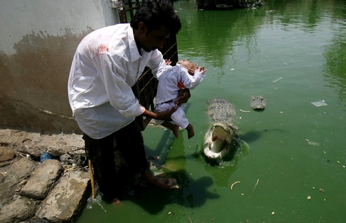 Фестиваль крокодила 'Шиди Мела' (Crocodile festival 'Sheedi MelA'), Карачи, 13 июня 2010 года.