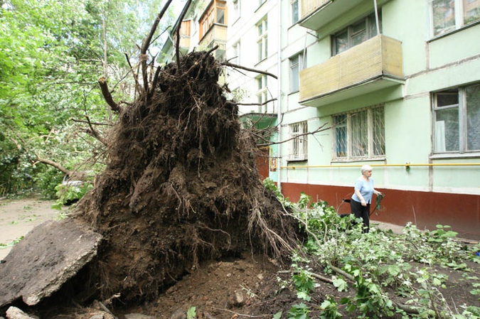 Ураган устроил в Москве лесоповал, 13 июня 2010 года.