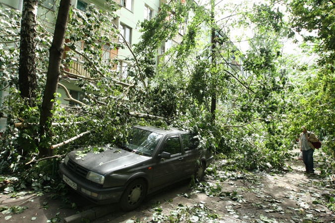 Ураган устроил в Москве лесоповал, 13 июня 2010 года.