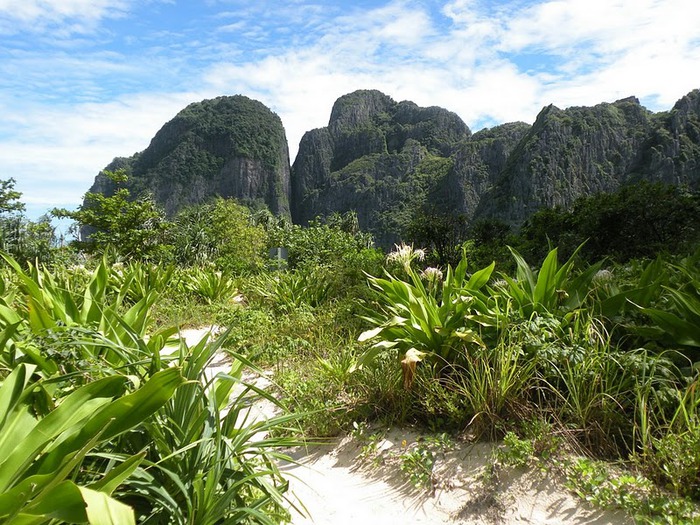 Тайланд - Острова Пи Пи--Phi Phi Islands 33720