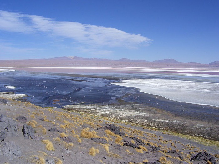 Солончак Уюни - Salar de Uyuni - Боливия 26636