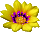 (40x32, 9Kb)