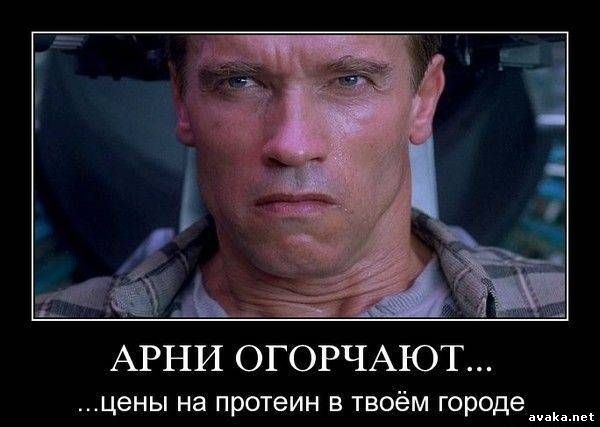 Весёлые демотиваторы