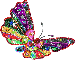 блестяшки бабочки