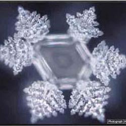 discovery_masaru_emoto20 (250x250, 37 Kb)