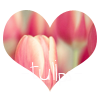  (100x100, 16Kb)