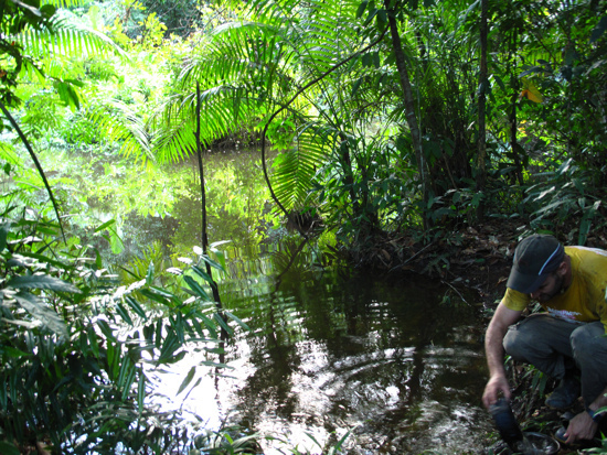 Амазонку обошли пешком Британец Эд Стаффорд и его спутник перуанец Гадиэль Санчес Ривера