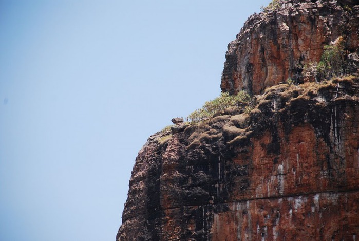 Национальный парк Какаду (Австралия) 42639