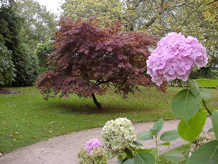 СТОУРХЕД - Stourhead 29536