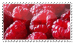 /Stamps 63717345_1283854331_16