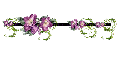 разделитель цветы (500x250, 68 Kb)