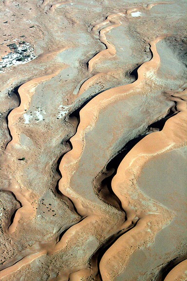 Намибия - страна двух пустынь 28532