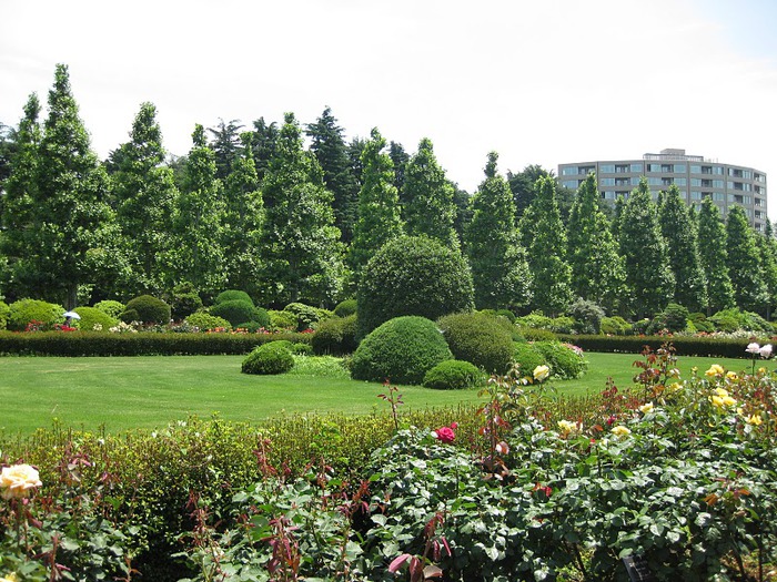 Shinjuku Gyoen - Парк Синдзюку 80113