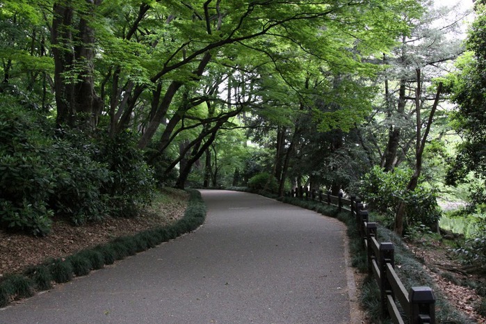 Shinjuku Gyoen - Парк Синдзюку 76768