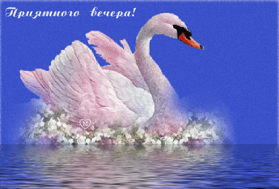  (550x374, 193Kb)