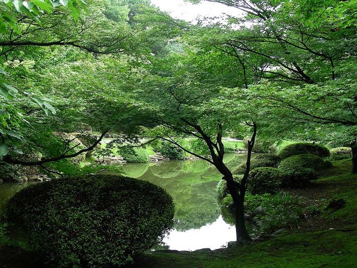 Shinjuku Gyoen - Парк Синдзюку 50058