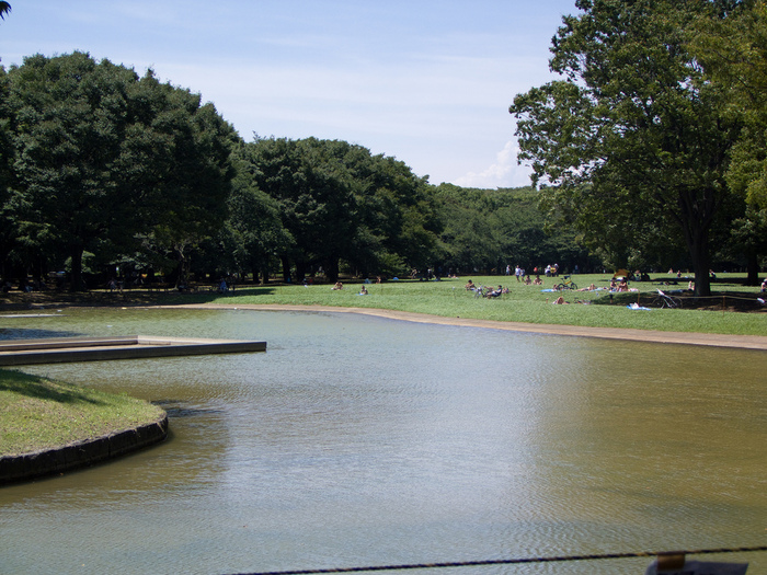 Shinjuku Gyoen - Парк Синдзюку 34431