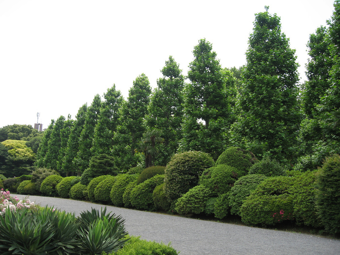 Shinjuku Gyoen - Парк Синдзюку 26635