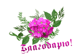  (150x109, 7Kb)