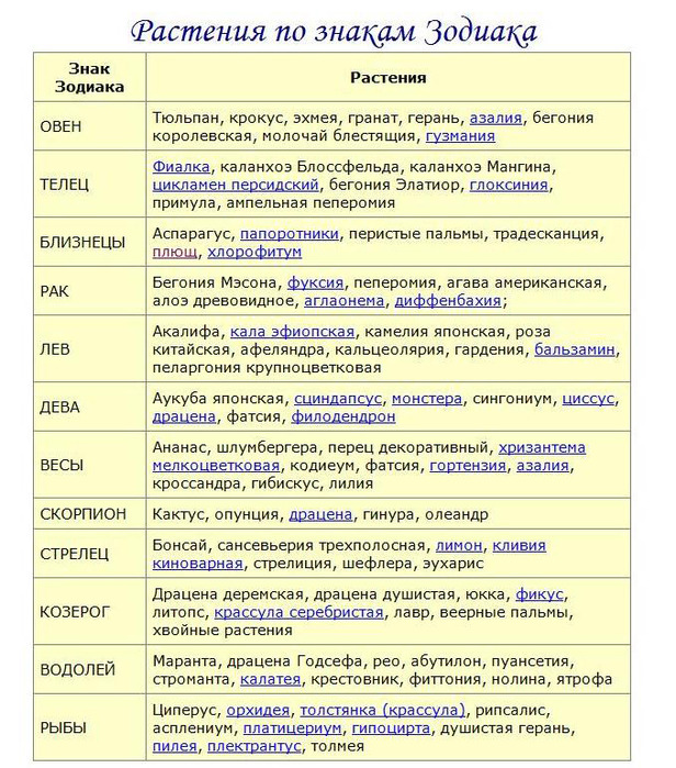 Какому знаку зодиака подходит цветок Какому знаку зодиака подходит цветок