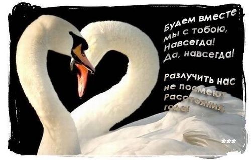 Стих я буду твоей навеки Стих я буду твоей навеки