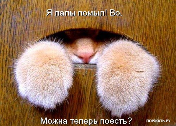 http://img0.liveinternet.ru/images/attach/c/1/51/251/51251732_121d85d63bad.jpg