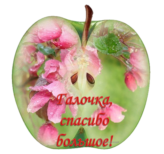 Открытки благодарю моя хорошая