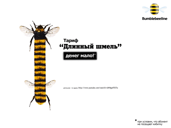 Длинный шмель 53936787_Bumblebeeline