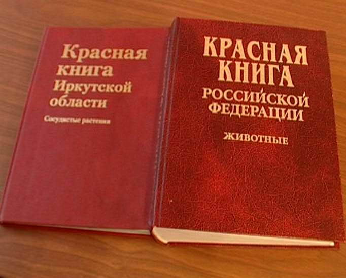 Скачать книгу законы украины