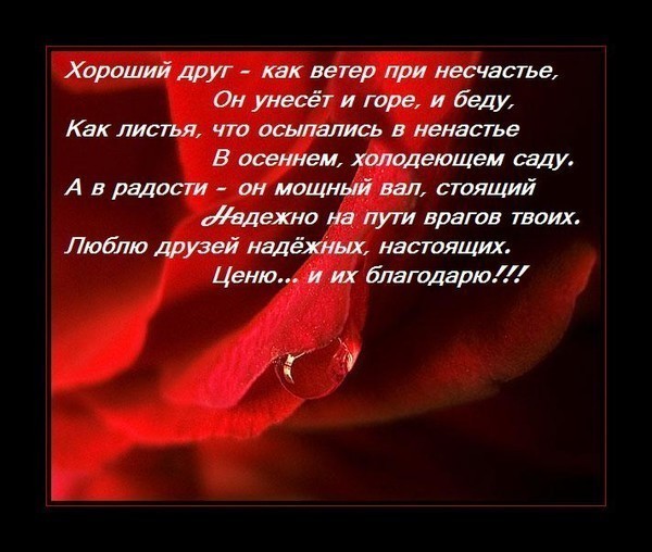Нигерийские письма (вид мошенничества) Куриный суп (более 100 рецептов с фото) - рецепты с