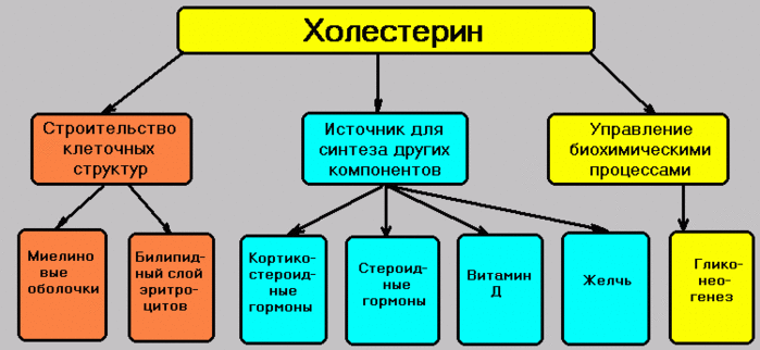 Картинка 15 из 108616