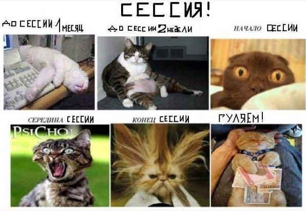 курс питания для похудения для 60 летних курс питания для похудения для 60 летних