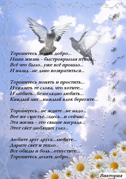 Стих вся жизнь светланы Стих вся жизнь светланы