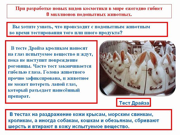 Как сделать тест на животных 641