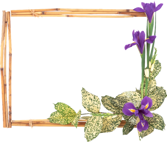 торент секс ххх