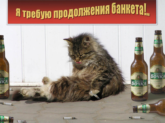 60959308_ya_trebuyu_prodolzhenie_banketa.jpg