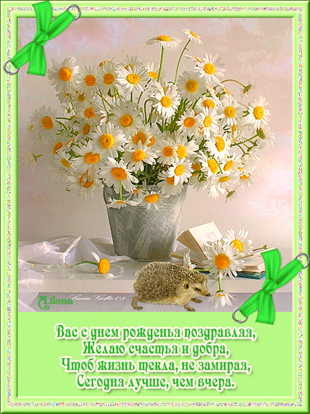 Ромашки. поздравления