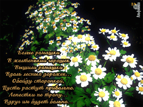 Стих садовнике и цветах Стих садовнике и цветах