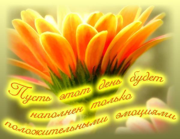 С юбилеем фирмы открытки с С юбилеем фирмы открытки с