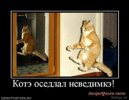 http://img0.liveinternet.ru/images/attach/c/1/63/787/63787872_1283996725_x_a55a401c.jpg