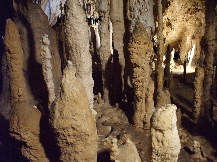 Медведь Пещера в селе Chiscau - Румыния - Bears' Cave, Chiscau, Romania, 29936
