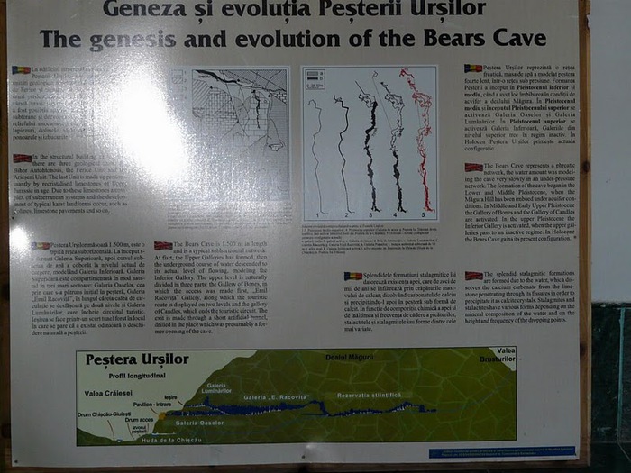 Медведь Пещера в селе Chiscau - Румыния - Bears' Cave, Chiscau, Romania, 14376