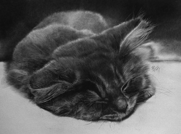 Кошки в карандашных рисунках Пола Лунга. 3518263_2714540_0_22a10_b07b6fb4_xl1 (700x516, 201Kb)
